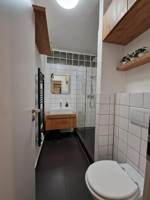 Pelclova Apartment اوسترافا 0*,